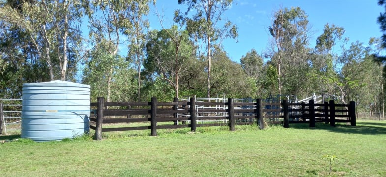 NATURES ENGINEERING WONDER PLANT