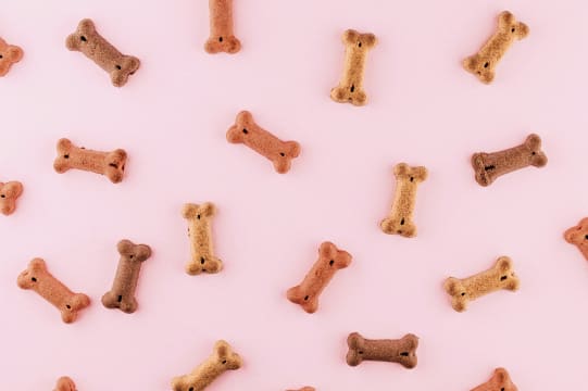 Highly Profitable E-Commerce Pet Supply Business | $300k EBIT | Melbourne Metro [2603061]