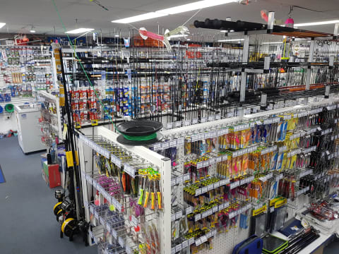 Xweqzz0icwt3feevvo4b