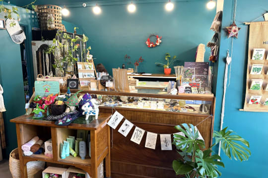 LEASEHOLD - Seed & Bloom Flower Store, Wangaratta - 1P0586