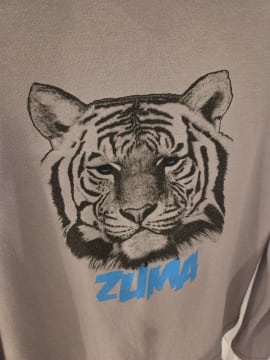 Iconic Australian Swimwear Brand Over 40 Years of Heritage