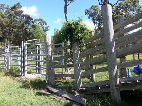 Xymsa56r7h2qr1xniwta