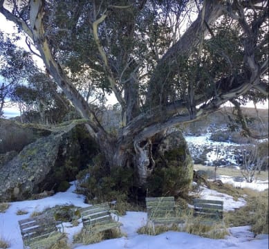 Y1s0g1nfdscety3cklc2