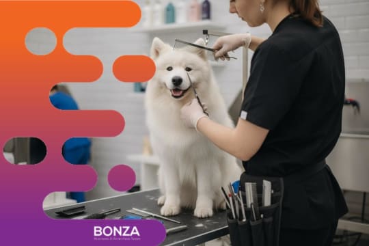 36626 Profitable & In Demand Dog Daycare & Grooming Business