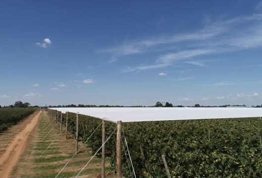 Leading Crop Protection/Netting Infrastructure Specialist VIC (Our Ref: 2065)