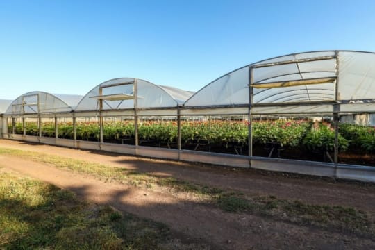 Western Victoria Agricultural Farm Land and Infrastructure (IWF2401)