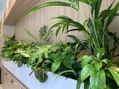 High-Margin Plant Service Business
