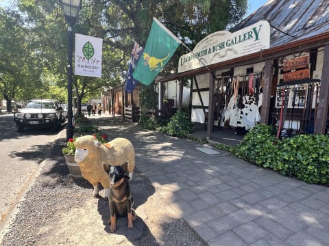 Established SA Wine Tour Operator: 25+ Years, Branded Fleet & Growth Potential