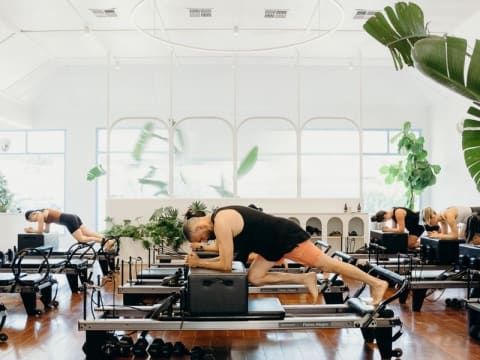 Grow Your Own Studio Spring