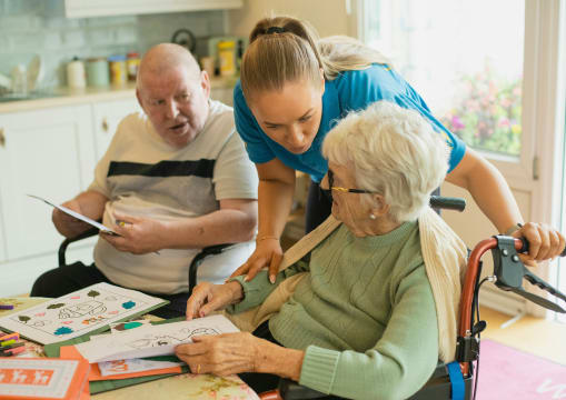 Registered Aged Care NDIS Provider (Franchise), 2 Established NSW Territories, $3.6M revenue