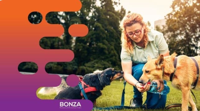 36008 - Mobile Dog Walking & Pet Care Business with Franchise Model Included