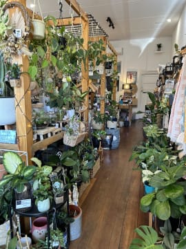 Ygvdua3h2wpuc0nsjz21