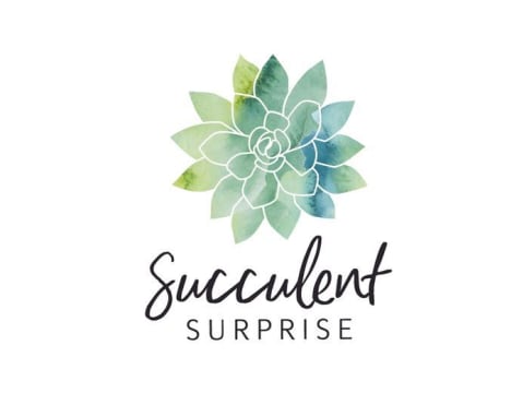 Succulent Surprise - Established Online Plant Store and Gifting Brand - National Opportunity