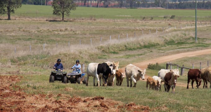 Yij4txbghspqibmdbqmr