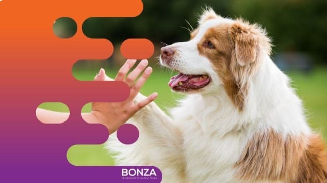 36875 Longstanding & Highly Reputable Dog Training Business - Proven Operation