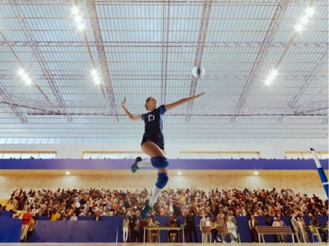 Established, Profitable Sports Tour Operator