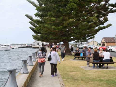 Yl4pka2wdcplrgvuqf7r