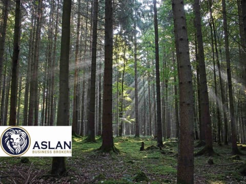 LAND FOR SALE IN NEW ZEALAND