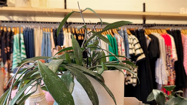 Fashion Boutique - Flexible Lifestyle Business