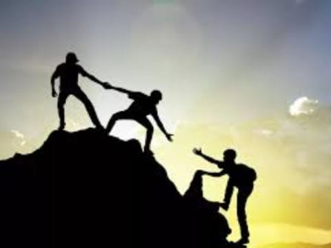 Premium Disability Support Business  Established, Profitable & Ready for Growth