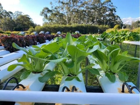 Sustainable Aquaculture & Food Hub - Port Stephens