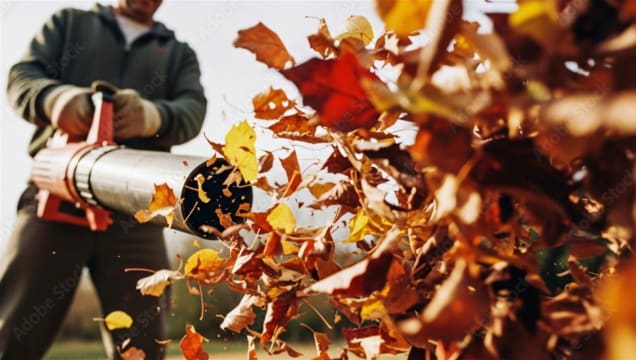 Yphyj3iekwuedjtocp4r