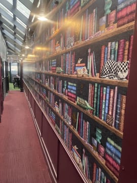 Ypxw1cyonuk9o4dxeig8