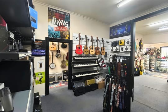 Turn Your Passion Into a Music Empire with Music Workshop