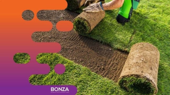 Ysq94mcqdh7kwsz6nbgu