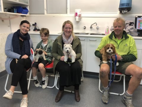 Puppy and Dog Training School