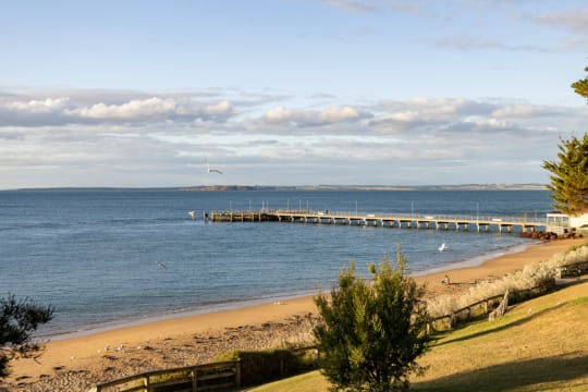 Yvrjdvzm5e3jeubpzrgt