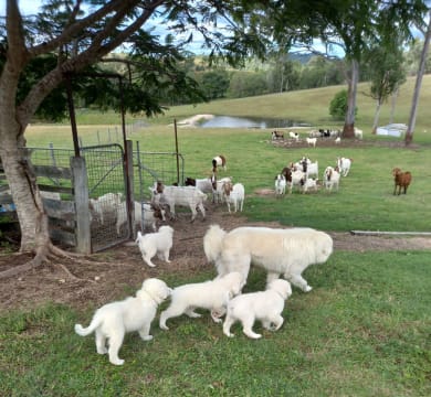 Yzinubviaswjjjifll5c