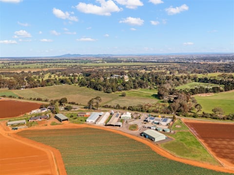 Wholesale Production Business-Agriculture-$1m+ Owners Profit