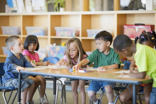Unique, Import, Wholesale/Distribution and Online School Products Business #424
