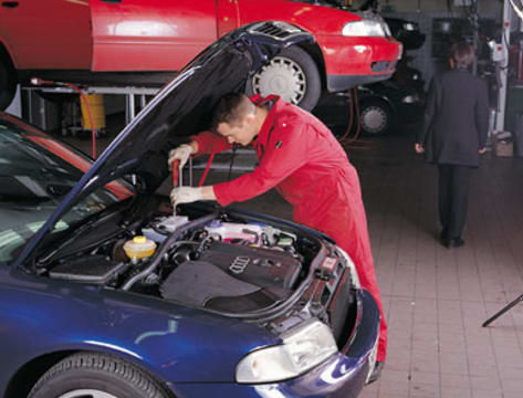 Z6nnxi7oxk3ovdxowlpt