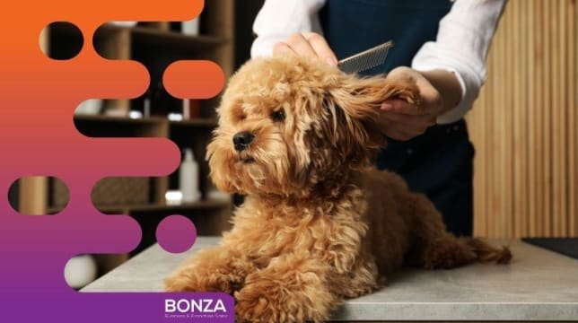 36834 - Dog Grooming, Daycare and Retail Space