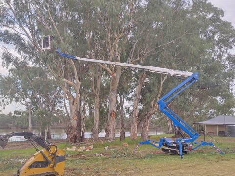 Dynamic Woodsman of Waikerie - A Rare Opportunity - Expressions of Interest