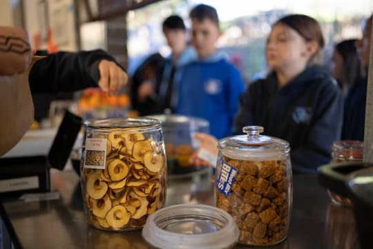 Diverse product range (5,000+ products), Outlet and Online Store #416