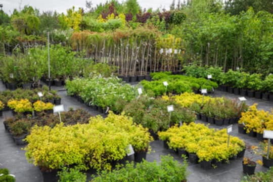 Profitable Regional Nursery | Semi-Passive Operation | Central Victoria