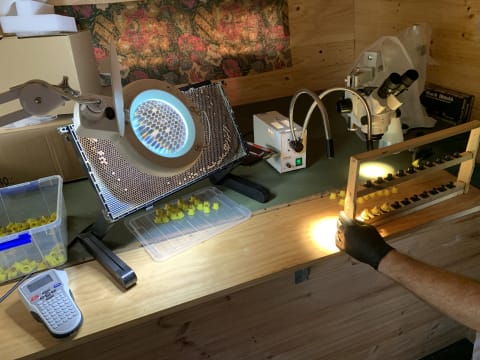 Asset-Based Small Scale Commercial Beekeeping Opportunity for Sale