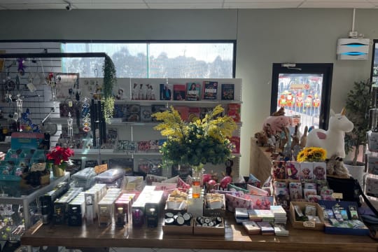 Zc62nj2kpnnevfvk8hv0