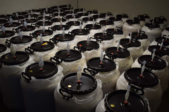 Home Brew Business - Strong Profits