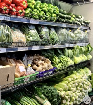 LIVE & WORK  HOME & BUSINESS   SAME PLACE  CLOSE TO BEACH