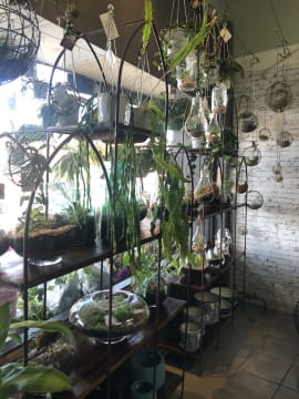 Much-Loved Florist and Giftware Business with 43 Years of Excellence