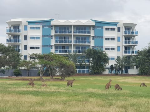 Beachside Holiday Management Rights in Bargara - ID 9186