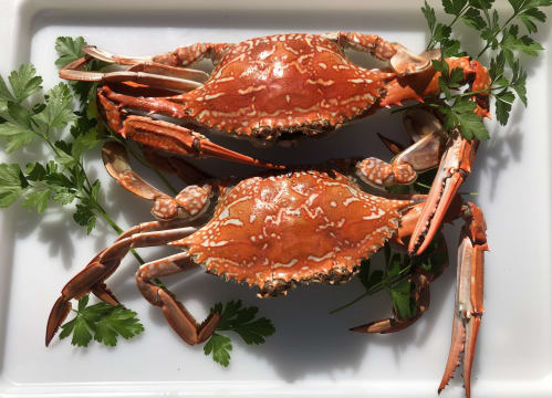 Established Mobile Seafood Retail Business – Three Turnkey Outlets Included