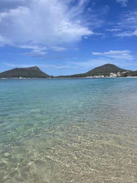 Shoal Bay Bike Hire Business in Shoal Bay