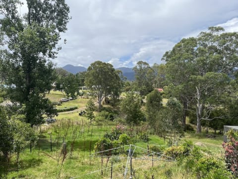 Bakery and Pie Shop - Granny Flat Accommodation Included!  – Bemboka, NSW