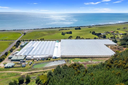 Hydroponic Vegetable Crop Farm - Land, Buildings & Machinery