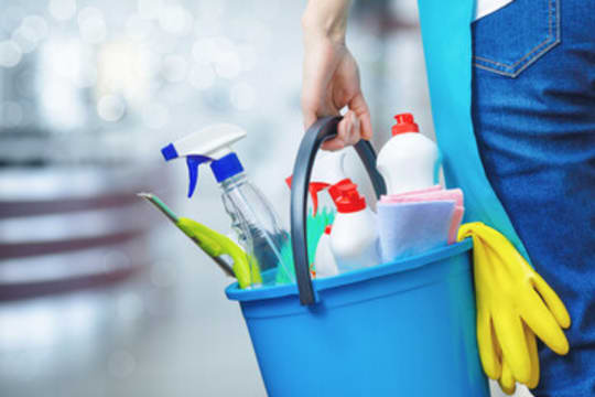 Established Cleaning Business